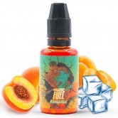 Concentré Kansetsu 30ml de la marque Fighter Fuel
